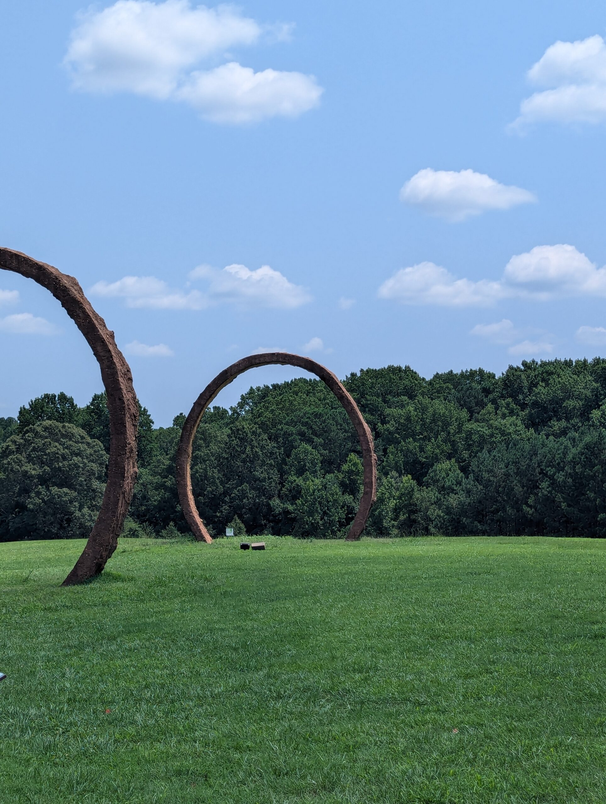 Raleigh in a Day: Your Quick Guide to an Inexpensive Day Trip